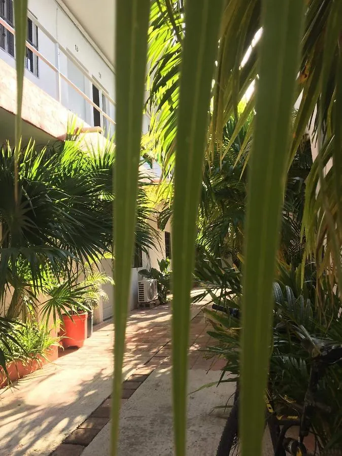Hotel Posada Olmeca Playa del Carmen Mexico